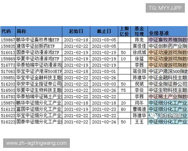 专业人士解读百家乐网站排名标准助你轻松找到最值得信赖的游戏平台