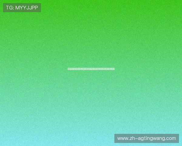 新西兰对比利时比赛比分公布：比赛过程中的亮点与球员表现深度解析